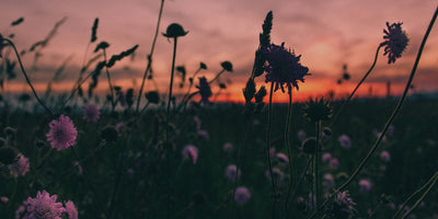 Yoga for Self-Compassion: 5 Hatha Yoga Poses to Calm Inner Critic