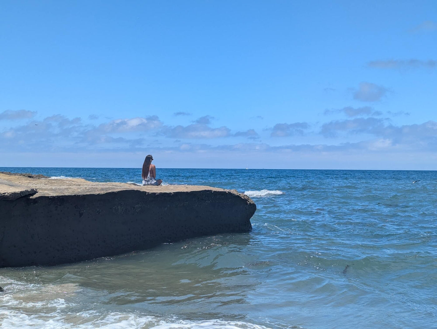 Meditation & Wellness Courses